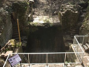 Wellington Wheel Pit, Mellor Mill